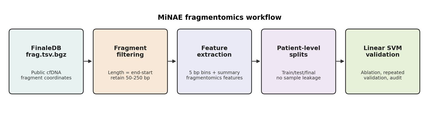 MiNAE workflow from fragment coordinates to patient-level validation.