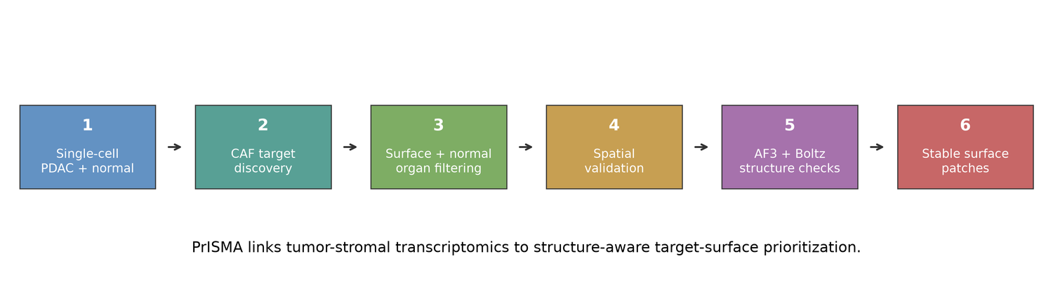 PrISMA-RSC workflow diagram.